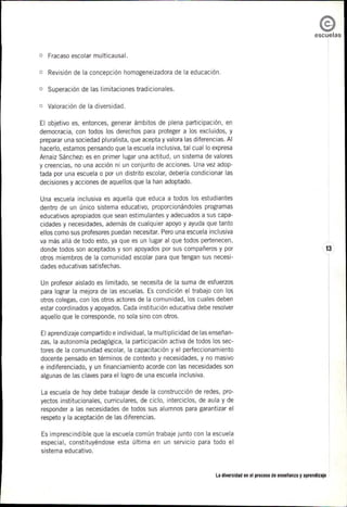 2008_La diversidad en el proceso de enseñanza y aprendizaje.pdf