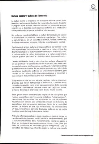 2008_La diversidad en el proceso de enseñanza y aprendizaje.pdf