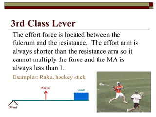 The effort force is located between the fulcrum and the resistance.  The effort arm is always shorter than the resistance arm so it cannot multiply the force and the MA is always less than 1. Examples: Rake, hockey stick 3rd Class Lever 