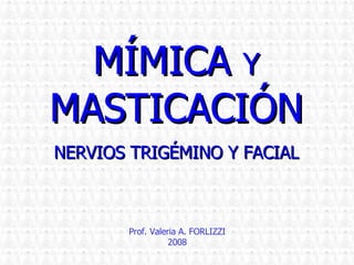Prof. Valeria A. FORLIZZI 2008 MÍMICA  Y  MASTICACIÓN NERVIOS TRIGÉMINO Y FACIAL 