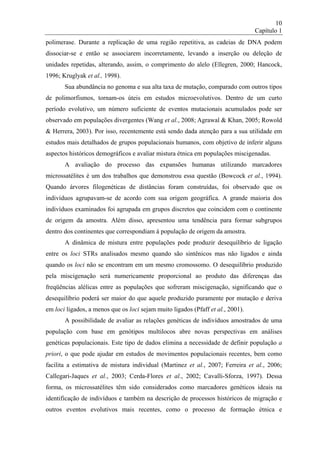 El impacto de la migración en la constitución genética de las poblaciones latinoamericanas (en portugués), Universidad de Brasilia.