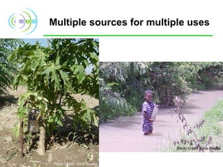 Multiple sources for multiple uses Photo Credit: Eline Boelee Photo Credit: Eline Boelee 