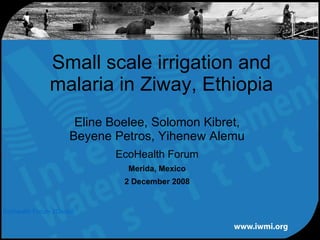 Eline Boelee, Solomon Kibret, Beyene Petros, Yihenew Alemu EcoHealth Forum Merida, Mexico 2 December 2008 Small scale irrigation and malaria in Ziway, Ethiopia 
