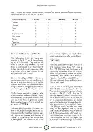 Clóvis Souza Bujes - Laura Verrastro




Table 1: Distribution and number of specimens captured in permanent1 and temporary or ephemeral2 aquatic environments,
categorized for the Delta do Jacuí State Park – RS, Brazil.


 Environments/Species               T. dorbigni                  A. spixii                  H. tectifera                   P. hilarii
 1Marshes                                  52                        6                             5                           26
 1Channels                                 53                        0                             1                           10
 1Sacks                                    0                         0                             0                            0
 1Rivers                                   5                         0                             0                            1
 2Irrigation channels                      12                        2                             1                            3
 2Rice paddies                             2                         1                             1                            1
 2Puddles                                  12                        5                             2                            2
 2Water holes                              1                         2                             1                            1
 Total N                                  137                        16                           11                           44




holes, and puddles in the FK and IF sites.                                ness/education, vigilance, and legal liability
                                                                          would minimize or even solve such problems.
The Hydromedusa tectifera specimens were
captured in the IP, FK, and IF sites and made                             DISCUSSION
up 5% of total captures. They were not col-
lected in sack and river habitats. They were                              Testudines represent the largest biomass in
found in environments of low-flow waters of,                              fresh-water ecosystems (Bury, 1979; Souza &
in their majority, temporary nature, except for                           Abe, 1997, 2000) and their distribution and
a specimen which was captured in the                                      community composition in fluvial environ-
Pintada Island/Mauá channel.                                              ments are affected both by biotic and abiotic
                                                                          components, often directly linked to ciliary
Phrynops hilarii (Figure 3.3D) was the second                             vegetation (Acuña-Mesen et al.,1983), co-spe-
most abundant species. It was found in the IP,                            cific competition, predation, and temperature
FK and IF areas, contributing with 21% of the                             (Moll & Moll, 2004).
captures. This species was present in all of the
sampled habitats, occupying environments                                  There is little in situ biological information
usually occupied by the T. dorbigni species.                              (Richard, 1999) about the majority of South
                                                                          American fresh-water turtle species. In Brazil,
The habitats preferentially occupied by chelo-                            according to the SBH (2007), there are 36
nians were rivers, sacks and channels (of per-                            Testudine species distributed into eight fami-
manent nature), rice irrigation channels, pud-                            lies. In the state of Rio Grande do Sul, there are
dles and water holes (of provisory nature).                               eleven species from four families: five marine
Representative images of these habitats are                               species (two families) and six species from lim-
presented in FIGURE 4.                                                    netic environments (two families) (Lema,
                                                                          1994). Thus, the number of species listed in this
The more perceptible threats to the fauna and                             study, for DJSP, represents over 65% of the
flora of the DJSP, including the chelonians, and                          fresh-water chelonian fauna in Rio Grande do
some measures that might help minimize nega-                              Sul. Reptile inventory in the DJSP area (a not-
tive impacts are presented and discussed in                               published technical report done as part of the
TABLE 2. In a general way it was observed that,                           Consolidation of the DJSP subproject) had
in the majority of cases, measures such as aware-                         recorded just two Testudines species: Trachemys



                             Technical – Scientific Articles   160          Natureza & Conservação - vol. 6 - n.2 - October 2008 - pp. 157-170
 