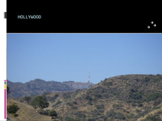 HOLLYWOOD
 