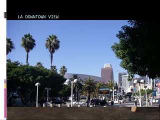 LA DOWNTOWN VIEW
 