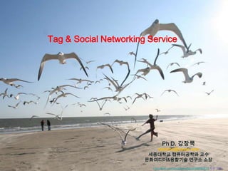 Tag & Social Networking Service Ph D. 강장묵 mooknc@naver.com 세종대학교 컴퓨터공학과 교수 문화미디어&융합기술 연구소 소장 http://flickr.com/photos/eschipul/386762837/방문인용 http://ross.typepad.com/blog/2006/04/power_law_of_pa.html 
