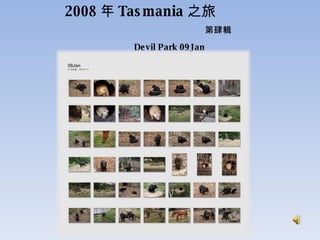 2008 年 Tasmania 之旅    第肆輯   Devil Park 09Jan  