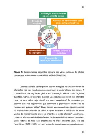 19
Sinalização auto-suficiente
no crescimento celular
Ausência de sensibilidade para
sinais anti-proliferativos
Invasão tecidual e
metástase
Potencial de
replicação sem limites
Constante estímulo
da angiogênese
Evasão da
apoptose
Figura 1: Características adquiridas comuns aos vários subtipos de células
cancerosas. Adaptado de HANAHAN & WEINBERG (2000).
Durante a divisão celular podem ocorrer mutações no DNA que levam às
alterações nas vias metabólicas que controlam a funcionalidade dos genes. A
complexidade da regulação gênica na proliferação celular incita algumas
questões. Como por exemplo: quantas vias regulatórias devem ser alteradas
para que uma célula seja classificada como neoplásica? As mutações que
ocorrem nas vias regulatórias que controlam a proliferação celular são as
mesmas em qualquer célula? Quais dessas vias oncogênicas operam apenas
no metabolismo primário da célula e quais recebem a influência de sinais
vindos do microambiente onde se encontra o tecido alterado? Atualmente,
podemos afirmar a existência de fatores de risco que induzem essas mutações.
Esses fatores de risco são encontrados no meio ambiente (80%) ou são
hereditários (INCA, 2008). No meio ambiente, encontramos um grande número
19
 