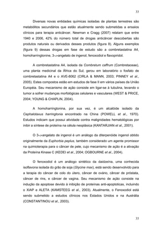 33
Diversas novas entidades químicas isoladas de plantas terrestres são
metabólitos secundários que estão atualmente sendo submetidas a ensaios
clínicos para terapia anticâncer. Newman e Cragg (2007) relatam que entre
1940 e 2006, 42% do número total de drogas anticâncer descobertas são
produtos naturais ou derivados desses produtos (figura 8). Alguns exemplos
(figura 9) dessas drogas em fase de estudo são a combretastatina A4,
homoharringtonine, 3-ο-angelato de ingenol, fenoxodiol e flavopiridol.
A combretastatina A4, isolada da Combretum caffrum (Combretaceae),
uma planta medicinal da África do Sul, gerou em laboratório o fosfato de
combretastatina A4 e o AVE-8062 (CIRLA & MANN, 2003; PINNEY et al.,
2005). Estes compostos estão em estudos de fase II em vários países da União
Européia. Seu mecanismo de ação consiste em ligar-se à tubulina, levando o
tumor a sofrer mudanças morfológicas celulares e vasculares (WEST & PRICE,
2004; YOUNG & CHAPLIN, 2004).
A homoharringtonina, por sua vez, é um alcalóide isolado da
Cephalotaxus harringtonia encontrado na China (POWELL et al., 1970).
Estudos indicam que possui atividade contra malignidades hematológicas por
inibir a síntese de proteína na célula neoplásica (KANTARJIAN et al., 2001).
O 3-ο-angelato de ingenol é um análogo da diterpenóide ingenol obtido
originalmente da Euphorbia peplus, também considerado um agente promissor
na quimioterapia para o câncer de pele, cujo mecanismo de ação é a ativação
da Proteína Kinase C (KEDEI et al., 2004; OGBOURNE et al., 2004).
O fenoxodiol é um análogo sintético da daidzeína, uma conhecida
isoflavona isolada do grão de soja (Glycine max), está sendo desenvolvido para
a terapia do câncer de colo do útero, câncer de ovário, câncer de próstata,
câncer de rins, e câncer de vagina. Seu mecanismo de ação consiste na
indução da apoptose devido à inibição de proteínas anti-apoptoticas, incluindo
o XIAP e ALETA (KAMSTEEG et al., 2003). Atualmente, o Fenoxodiol está
sendo submetido a estudos clínicos nos Estados Unidos e na Austrália
(CONSTANTINOU et al., 2003).
33
 