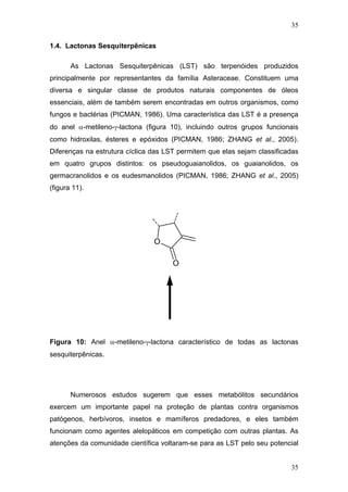 35
1.4. Lactonas Sesquiterpênicas
As Lactonas Sesquiterpênicas (LST) são terpenóides produzidos
principalmente por representantes da família Asteraceae. Constituem uma
diversa e singular classe de produtos naturais componentes de óleos
essenciais, além de também serem encontradas em outros organismos, como
fungos e bactérias (PICMAN, 1986). Uma característica das LST é a presença
do anel α-metileno-γ-lactona (figura 10), incluindo outros grupos funcionais
como hidroxilas, ésteres e epóxidos (PICMAN, 1986; ZHANG et al., 2005).
Diferenças na estrutura cíclica das LST permitem que elas sejam classificadas
em quatro grupos distintos: os pseudoguaianolidos, os guaianolidos, os
germacranolidos e os eudesmanolidos (PICMAN, 1986; ZHANG et al., 2005)
(figura 11).
O
O
α−methylene-γ−lactone ring
Figura 10: Anel α-metileno-γ-lactona característico de todas as lactonas
sesquiterpênicas.
Numerosos estudos sugerem que esses metabólitos secundários
exercem um importante papel na proteção de plantas contra organismos
patógenos, herbívoros, insetos e mamíferos predadores, e eles também
funcionam como agentes alelopáticos em competição com outras plantas. As
atenções da comunidade científica voltaram-se para as LST pelo seu potencial
35
 
