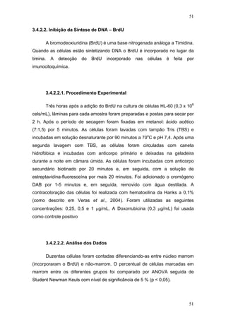 51
3.4.2.2. Inibição da Síntese de DNA – BrdU
A bromodeoxiuridina (BrdU) é uma base nitrogenada análoga a Timidina.
Quando as células estão sintetizando DNA o BrdU é incorporado no lugar da
timina. A detecção do BrdU incorporado nas células é feita por
imunocitoquímica.
3.4.2.2.1. Procedimento Experimental
Três horas após a adição do BrdU na cultura de células HL-60 (0,3 x 106
cels/mL), lâminas para cada amostra foram preparadas e postas para secar por
2 h. Após o período de secagem foram fixadas em metanol: ácido acético
(7:1,5) por 5 minutos. As células foram lavadas com tampão Tris (TBS) e
incubadas em solução desnaturante por 90 minutos a 70o
C e pH 7,4. Após uma
segunda lavagem com TBS, as células foram circuladas com caneta
hidrofóbica e incubadas com anticorpo primário e deixadas na geladeira
durante a noite em câmara úmida. As células foram incubadas com anticorpo
secundário biotinado por 20 minutos e, em seguida, com a solução de
estreptavidina-fluoresceína por mais 20 minutos. Foi adicionado o cromógeno
DAB por 1-5 minutos e, em seguida, removido com água destilada. A
contracoloração das células foi realizada com hematoxilina da Hanks a 0,1%
(como descrito em Veras et al., 2004). Foram utilizadas as seguintes
concentrações: 0,25, 0,5 e 1 μg/mL. A Doxorrubicina (0,3 μg/mL) foi usada
como controle positivo
3.4.2.2.2. Análise dos Dados
Duzentas células foram contadas diferenciando-as entre núcleo marrom
(incorporaram o BrdU) e não-marrom. O percentual de células marcadas em
marrom entre os diferentes grupos foi comparado por ANOVA seguida de
Student Newman Keuls com nível de significância de 5 % (p < 0,05).
51
 