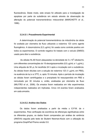 55
fluorescência. Deste modo, este ensaio foi utilizado para a investigação da
apoptose por parte da substância em estudo através da observação da
alteração do potencial transmembrânico mitocondrial (MARCHETTI et al.,
1996).
3.2.4.5.1. Procedimento Experimental
A determinação do potencial transmembrânico da mitocôndria da célula
foi avaliada por citometria de fluxo utilizando a rodamina 123 como agente
fluorogênico. A doxorrubicina (0,3 μg/mL) foi usada como controle positivo em
todos os experimentos. O controle negativo foi tratado com o veículo (DMSO)
usado para diluir a substância.
As células HL-60 foram plaqueadas na densidade de 3 x 105
células/mL
com diferentes concentrações do 15-deoxigoiazensolido (0,5 μg/mL e 1 μg/mL).
Uma alíquota de 50 μL foi recolhida 24 h após a incubação com a substância.
As células foram diluídas com a solução de rodamina 123 (1 μg/mL em PBS),
na ausência de luz e a 37ºC, e, após 15 minutos. Após o período de incubação
as células foram centrifugadas e o precipitado foi ressuspendido em PBS e
reincubado por 30 minutos e, então, analisadas por citometria de fluxo
(MILITÃO et al., 2006). Os ensaios foram realizados em três experimentos
independentes realizados em triplicatas. Cinco mil eventos foram analisados
em cada amostra.
3.2.4.5.2. Análise dos Dados
Os dados foram analisados a partir da média ± E.P.M. de n
experimentos. Para verificação da ocorrência de diferenças significativas entre
os diferentes grupos, os dados foram comparados por análise de variância
(ANOVA) seguida pelo teste de Student Newman-Keuls com a utilização do
programa GraphPad Prisma versão 5.0.
55
 