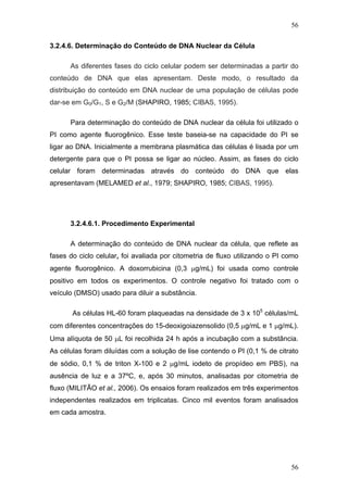 56
3.2.4.6. Determinação do Conteúdo de DNA Nuclear da Célula
As diferentes fases do ciclo celular podem ser determinadas a partir do
conteúdo de DNA que elas apresentam. Deste modo, o resultado da
distribuição do conteúdo em DNA nuclear de uma população de células pode
dar-se em G0/G1, S e G2/M (SHAPIRO, 1985; CIBAS, 1995).
Para determinação do conteúdo de DNA nuclear da célula foi utilizado o
PI como agente fluorogênico. Esse teste baseia-se na capacidade do PI se
ligar ao DNA. Inicialmente a membrana plasmática das células é lisada por um
detergente para que o PI possa se ligar ao núcleo. Assim, as fases do ciclo
celular foram determinadas através do conteúdo do DNA que elas
apresentavam (MELAMED et al., 1979; SHAPIRO, 1985; CIBAS, 1995).
3.2.4.6.1. Procedimento Experimental
A determinação do conteúdo de DNA nuclear da célula, que reflete as
fases do ciclo celular, foi avaliada por citometria de fluxo utilizando o PI como
agente fluorogênico. A doxorrubicina (0,3 μg/mL) foi usada como controle
positivo em todos os experimentos. O controle negativo foi tratado com o
veículo (DMSO) usado para diluir a substância.
As células HL-60 foram plaqueadas na densidade de 3 x 105
células/mL
com diferentes concentrações do 15-deoxigoiazensolido (0,5 μg/mL e 1 μg/mL).
Uma alíquota de 50 μL foi recolhida 24 h após a incubação com a substância.
As células foram diluídas com a solução de lise contendo o PI (0,1 % de citrato
de sódio, 0,1 % de triton X-100 e 2 μg/mL iodeto de propídeo em PBS), na
ausência de luz e a 37ºC, e, após 30 minutos, analisadas por citometria de
fluxo (MILITÃO et al., 2006). Os ensaios foram realizados em três experimentos
independentes realizados em triplicatas. Cinco mil eventos foram analisados
em cada amostra.
56
 