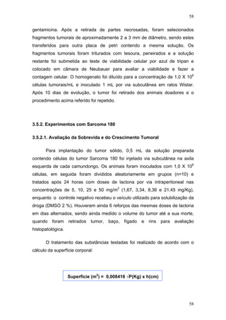 58
gentamicina. Após a retirada de partes necrosadas, foram selecionados
fragmentos tumorais de aproximadamente 2 a 3 mm de diâmetro, sendo estes
transferidos para outra placa de petri contendo a mesma solução. Os
fragmentos tumorais foram triturados com tesoura, peneirados e a solução
restante foi submetida ao teste de viabilidade celular por azul de tripan e
colocado em câmara de Neubauer para avaliar a viabilidade e fazer a
contagem celular. O homogenato foi diluído para a concentração de 1,0 X 106
células tumorais/mL e inoculado 1 mL por via subcutânea em ratos Wistar.
Após 10 dias de evolução, o tumor foi retirado dos animais doadores e o
procedimento acima referido foi repetido.
3.5.2. Experimentos com Sarcoma 180
3.5.2.1. Avaliação da Sobrevida e do Crescimento Tumoral
Para implantação do tumor sólido, 0,5 mL da solução preparada
contendo células do tumor Sarcoma 180 foi injetado via subcutânea na axila
esquerda de cada camundongo. Os animais foram inoculados com 1,0 X 106
células, em seguida foram divididos aleatoriamente em grupos (n=10) e
tratados após 24 horas com doses de lactona por via intraperitoneal nas
concentrações de 5, 10, 25 e 50 mg/m2
(1,67, 3,34, 8,36 e 21,45 mg/Kg),
enquanto o controle negativo recebeu o veículo utilizado para solubilização da
droga (DMSO 2 %). Houveram ainda 6 reforços das mesmas doses de lactona
em dias alternados, sendo ainda medido o volume do tumor até a sua morte,
quando foram retirados tumor, baço, fígado e rins para avaliação
histopatológica.
O tratamento das substâncias testadas foi realizado de acordo com o
cálculo da superfície corporal:
Superfície (m2
) = 0,008416 √P(Kg) x h(cm)
58
 