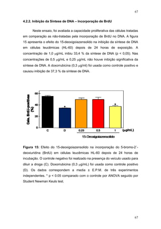 67
4.2.2. Inibição da Síntese de DNA – Incorporação de BrdU
Neste ensaio, foi avaliada a capacidade proliferativa das células tratadas
em comparação as não-tratadas pela incorporação de BrdU no DNA. A figura
15 apresenta o efeito do 15-deoxigoiazensolido na inibição da síntese de DNA
em células leucêmicas (HL-60) depois de 24 horas de exposição. A
concentração de 1,0 μg/mL inibiu 33,4 % da síntese de DNA (p < 0,05). Nas
concentrações de 0,5 μg/mL e 0,25 μg/mL não houve inibição significativa da
síntese de DNA. A doxorrubicina (0,3 μg/ml) foi usada como controle positivo e
causou inibição de 37,3 % da síntese de DNA.
Figura 15: Efeito do 15-deoxigoiazensolido na incorporação do 5-bromo-2´-
deoxiuridina (BrdU) em células leucêmicas HL-60 depois de 24 horas de
incubação. O controle negativo foi realizado na presença do veículo usado para
diluir a droga (C). Doxorrubicina (0,3 μg/mL) foi usada como controle positivo
(D). Os dados correspondem a media ± E.P.M. de três experimentos
independentes. * p < 0.05 comparado com o controle por ANOVA seguido por
Student Newman Keuls test.
67
 