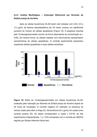 68
4.2.3. Análise Morfológica – Coloração Diferencial por Brometo de
Etídio/Laranja de Acridina
Após as células leucêmicas HL-60 terem sido tratadas com 0,25, 0,5 e
1,0 μg/mL da lactona sesquiterpênica por 24 horas, ocorreu um significante
aumento do número de células apoptóticas (Figura 16). A apoptose induzida
pelo 15-deoxigoiazensolido ocorreu de forma dependente da concentração (p <
0,05). Da mesma forma, as células tratadas com doxorrubicina apresentaram
características de células apoptóticas. O controle experimental apresentou
ocasionais células apoptóticas e raras células necróticas.
C D 0.25 0.5 1.0
0
25
50
75
100
Cels. vi‡veis Cels. apopt—ticas Cels. necr—ticas
15-Deoxigoiazensolido
*
*
*
*
* *
*
*
(μg/mL)
Apoptóticas NecróticasViáveis
Figura 16: Efeito do 15-deoxigoiazensolido em células leucêmicas HL-60,
analisado pela coloração por Brometo de Etídio/Laranja de Acridina depois de
24 horas de incubação. O controle negativo foi realizado na presença do
veículo usado para diluir a droga (C). Doxorubicina (0,3 μg/mL) foi usada como
controle positivo (D). Os dados correspondem a media ± E.P.M. de três
experimentos independentes. * p < 0.05 comparado com o controle por ANOVA
seguido por Student Newman Keuls test.
68
 