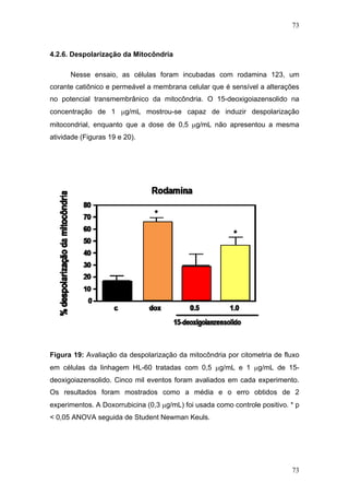 73
4.2.6. Despolarização da Mitocôndria
Nesse ensaio, as células foram incubadas com rodamina 123, um
corante catiônico e permeável a membrana celular que é sensível a alterações
no potencial transmembrânico da mitocôndria. O 15-deoxigoiazensolido na
concentração de 1 μg/mL mostrou-se capaz de induzir despolarização
mitocondrial, enquanto que a dose de 0,5 μg/mL não apresentou a mesma
atividade (Figuras 19 e 20).
Figura 19: Avaliação da despolarização da mitocôndria por citometria de fluxo
em células da linhagem HL-60 tratadas com 0,5 μg/mL e 1 μg/mL de 15-
deoxigoiazensolido. Cinco mil eventos foram avaliados em cada experimento.
Os resultados foram mostrados como a média e o erro obtidos de 2
experimentos. A Doxorrubicina (0,3 μg/mL) foi usada como controle positivo. * p
< 0,05 ANOVA seguida de Student Newman Keuls.
73
 