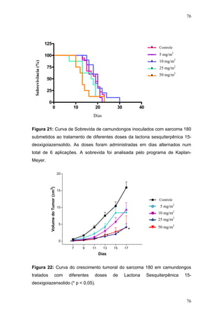 76
Curva de sobrevida
0 10 20 30 40
0
25
50
75
100
125
C
5
10
25
50
Time
Percentsurvival
Controle
5 mg/m2
10 mg/m2
%)
25 mg/m2
Sobrevivência(
50 mg/m2
Dias
Figura 21: Curva de Sobrevida de camundongos inoculados com sarcoma 180
submetidos ao tratamento de diferentes doses da lactona sesquiterpênica 15-
deoxigoiazensolido. As doses foram administradas em dias alternados num
total de 6 aplicações. A sobrevida foi analisada pelo programa de Kaplan-
Meyer.
7 9 11 13 15 17
0
5
10
15
20
C
25 mg/m2
50 mg/m2
* * *
* *
*
5
10
Dias
VolumedoTumor(cm3
)
Controle
25 mg/m2
50 mg/m2
5 mg/m2
10 mg/m2
Figura 22: Curva do crescimento tumoral do sarcoma 180 em camundongos
tratados com diferentes doses de Lactona Sesquiterpênica 15-
deoxigoiazensolido (* p < 0,05).
76
 