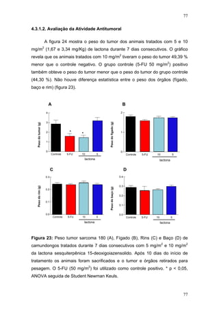 77
4.3.1.2. Avaliação da Atividade Antitumoral
A figura 24 mostra o peso do tumor dos animais tratados com 5 e 10
mg/m2
(1,67 e 3,34 mg/Kg) de lactona durante 7 dias consecutivos. O gráfico
revela que os animais tratados com 10 mg/m2
tiveram o peso do tumor 49,39 %
menor que o controle negativo. O grupo controle (5-FU 50 mg/m2
) positivo
também obteve o peso do tumor menor que o peso do tumor do grupo controle
(44,30 %). Não houve diferença estatística entre o peso dos órgãos (fígado,
baço e rim) (figura 23).
Tumor
Controle 5-FU 10 5
0
1
2
3
4
* *
lactona
F’gado
Controle 5-FU 10 5
0
1
2
lactona
Rim
Controle 5-FU 10 5
0.0
0.1
0.2
0.3
lactona
Ba¨o
Controle 5-FU 10 5
0.0
0.1
0.2
0.3
0.4
lactona
A B
Figura 23: Peso tumor sarcoma 180 (A), Fígado (B), Rins (C) e Baço (D) de
camundongos tratados durante 7 dias consecutivos com 5 mg/m2
e 10 mg/m2
da lactona sesquiterpênica 15-deoxigoiazensolido. Após 10 dias do início de
tratamento os animais foram sacrificados e o tumor e órgãos retirados para
pesagem. O 5-FU (50 mg/m2
) foi utilizado como controle positivo. * p < 0,05,
ANOVA seguida de Student Newman Keuls.
Pesodotumor(g)
Pesodofígado(g)
Pesodorim(g)
Pesodobaço(g)
C D
77
 