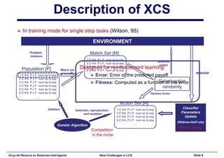 New Challenges in Learning Classifier Systems: Mining Rarities and Evolving Fuzzy Rules