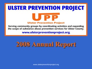 2008 Annual Report 