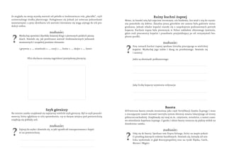 Ze względu na swoją wysoką wartość sól pełniła w średniowieczu rolę „płacidła”, czyli                               Ruiny ...