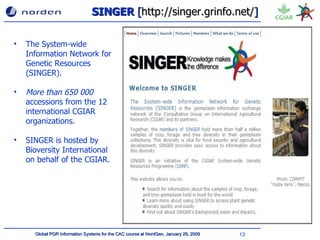 SINGER  [ http://singer.grinfo.net/ ] The System-wide Information Network for Genetic Resources (SINGER) . More than 650 000   accessions from the 12 international CGIAR organizations. SINGER is hosted by Bioversity International on behalf of the CGIAR. 