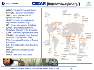 CGIAR  [ http://www.cgiar.org/ ] AVRDC  -  The World Vegetable Center Bioversity  -  Bioversity International  CIAT  -  Centro Internacional de Agricultura Tropical CIMMYT  - Ce ntro Internacional de Mejoramiento de Maiz y Trigo CIP  - C entro Internacional de la Papa  ICARDA  -  International Center for Agricultural Research in the Dry Areas  ICRAF  -  The World Agroforestry Centre ICRISAT  -  International Crops Research Institute for the Semi-Arid Tropics IITA  -  International Institute of Tropical Agriculture ILRI  -  International Livestock Research Institute IRRI  -  International Rice Research Institute  WARDA  -  The Africa Rice Center 