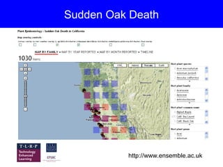 Sudden Oak Death




          http://www.ensemble.ac.uk
 