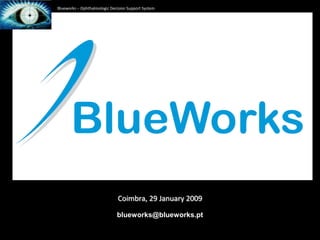 Blueworks – Ophthalmologic Decision Support System Coimbra, 29 January 2009 blueworks@blueworks.pt 