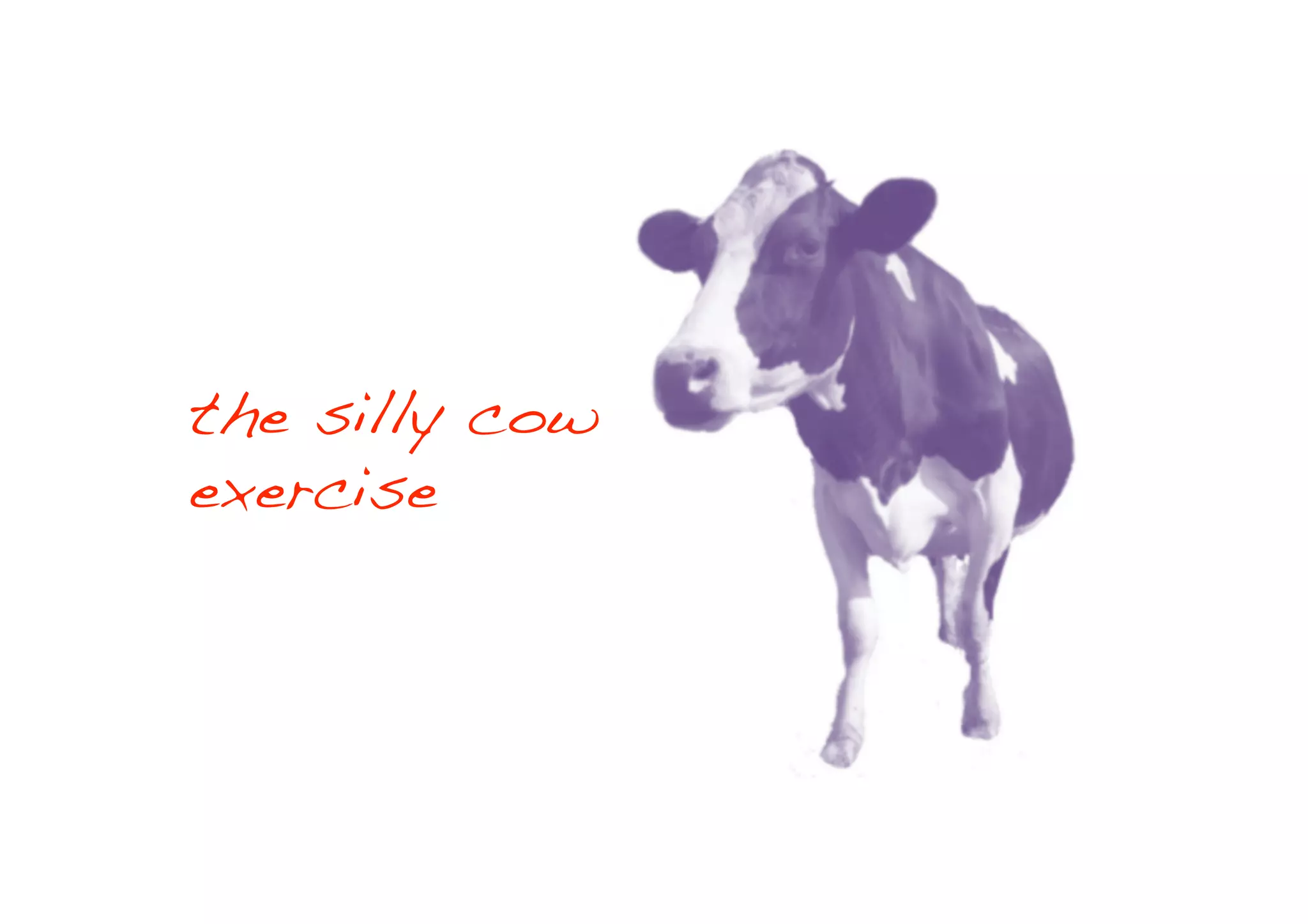 the silly cow
exercise!
 