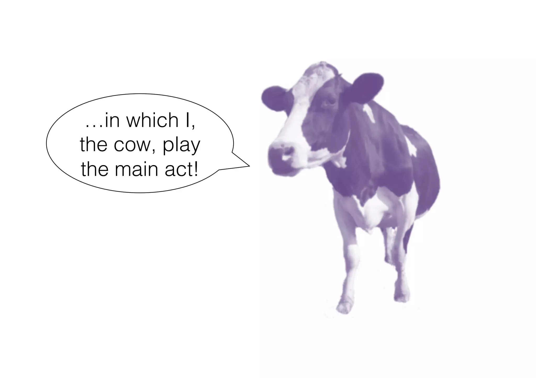 …in which I,
the cow, play
the main act!
 