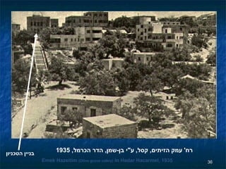 רח '  עמק הזיתים ,  קסל ,  ע " י בן - שמן ,  הדר הכרמל , 1935 Emek Hazeitim  (Olive grove valley)  in Hadar Hacarmel, 1935 בניין הטכניון 