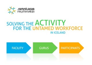 Ministry Of Ideas overview for IDEO of grassroot projects in Iceland, June 2009