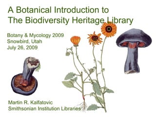 A Botanical Introduction to The Biodiversity Heritage Library Martin R. Kalfatovic Smithsonian Institution Libraries Botany & Mycology 2009 Snowbird, Utah July 26, 2009 