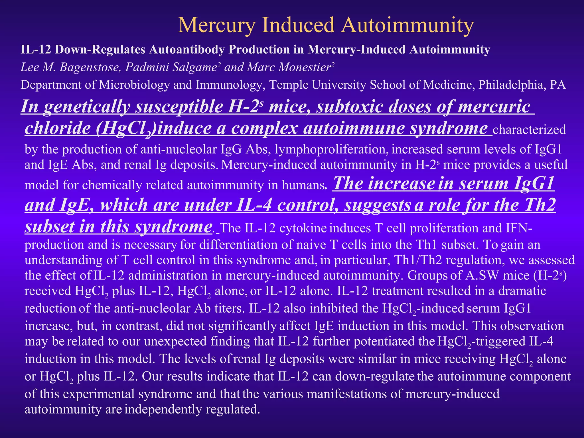 Mercury Induced Autoimmunity IL-12 Down-Regulates Autoantibody Production in Mercury-Induced Autoimmunity  Lee M. Bagenstose, Padmini Salgame 2  and Marc Monestier 2   Department of Microbiology and Immunology, Temple University School of Medicine, Philadelphia, PA In genetically susceptible H-2 s  mice, subtoxic doses of mercuric   chloride (HgCl 2 )induce a complex autoimmune syndrome  characterized   by the production of anti-nucleolar IgG Abs, lymphoproliferation,   increased serum levels of IgG1 and IgE Abs, and renal Ig deposits.   Mercury-induced autoimmunity in H-2 s  mice provides a useful   model for chemically related autoimmunity in humans .  The increase   in serum IgG1 and IgE, which are under IL-4 control, suggests   a role for the Th2 subset in this syndrome .   The IL-12 cytokine   induces T cell proliferation and IFN- production and is necessary   for differentiation of naive T cells into the Th1 subset. To   gain an understanding of T cell control in this syndrome and,   in particular, Th1/Th2 regulation, we assessed the effect of   IL-12 administration in mercury-induced autoimmunity. Groups   of A.SW mice (H-2 s ) received HgCl 2  plus IL-12, HgCl 2  alone,   or IL-12 alone. IL-12 treatment resulted in a dramatic reduction   of the anti-nucleolar Ab titers. IL-12 also inhibited the HgCl 2 -induced   serum IgG1 increase, but, in contrast, did not significantly   affect IgE induction in this model. This observation may be   related to our unexpected finding that IL-12 further potentiated the   HgCl 2 -triggered IL-4 induction in this model. The levels of   renal Ig deposits were similar in mice receiving HgCl 2  alone   or HgCl 2  plus IL-12. Our results indicate that IL-12 can down-regulate   the autoimmune component of this experimental syndrome and that   the various manifestations of mercury-induced autoimmunity are   independently regulated.   