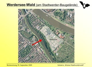 Werdersee-Wald (am Stadtwerder-Baugelände)




Beiratssitzung 30. September 2009   Initiative ‚Kleiner Stadtwerderwald‘
 