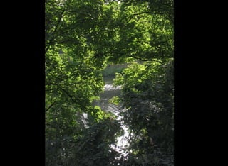 Beiratssitzung 30. September 2009   Initiative ‚Kleiner Stadtwerderwald‘
 