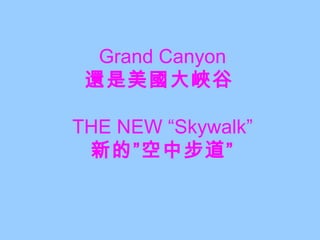Grand Canyon 還是美國大峽谷   THE NEW “Skywalk” 新的”空中步道” 