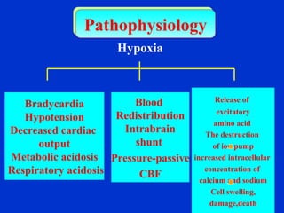 Hypoxia Fig. Bradycardia Hypotension Decreased cardiac  output Metabolic acidosis Respiratory acidosis Release of   excitatory amino acid  The destruction  of ion pump increased intracellular  concentration of  calcium and sodium Cell swelling, damage,death Pathophysiology Blood  Redistribution Intrabrain shunt  Pressure-passive CBF 