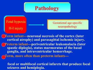 Term infant--- neuronal necrosis of the cortex (later cortical atrophy) and parasagittal ischemic injury. Preterm infant--- periventricular leukomalacia (later spastic diplegia), status marmoratus of the basal ganglia, and intraventricular hemorrhage. Term, more often than preterm infants---   focal or multifocal cortical infarcts that produce focal seizures and hemiplegia. Fig. Pathology  Fetal hypoxia H-I injury Gestational age-specific neuropathology 