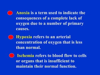 Anoxia  is a term used to indicate the consequences of a complete lack of oxygen due to a number of primary causes. Hypoxia  refers to an arterial concentration of oxygen that is less than normal. Ischemia  refers to blood flow to cells or organs that is insufficient to maintain their normal function. 