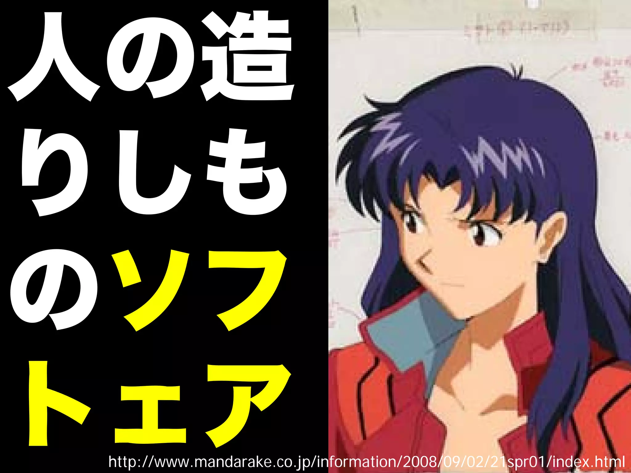 http://www.mandarake.co.jp/information/2008/09/02/21spr01/index.html
 