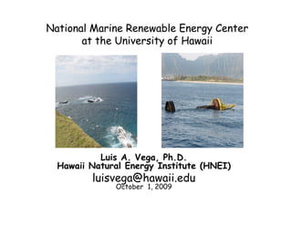 Luis A. Vega, Ph.D.
Hawaii Natural Energy Institute (HNEI)
       luisvega@hawaii.edu
            October 1, 2009
 