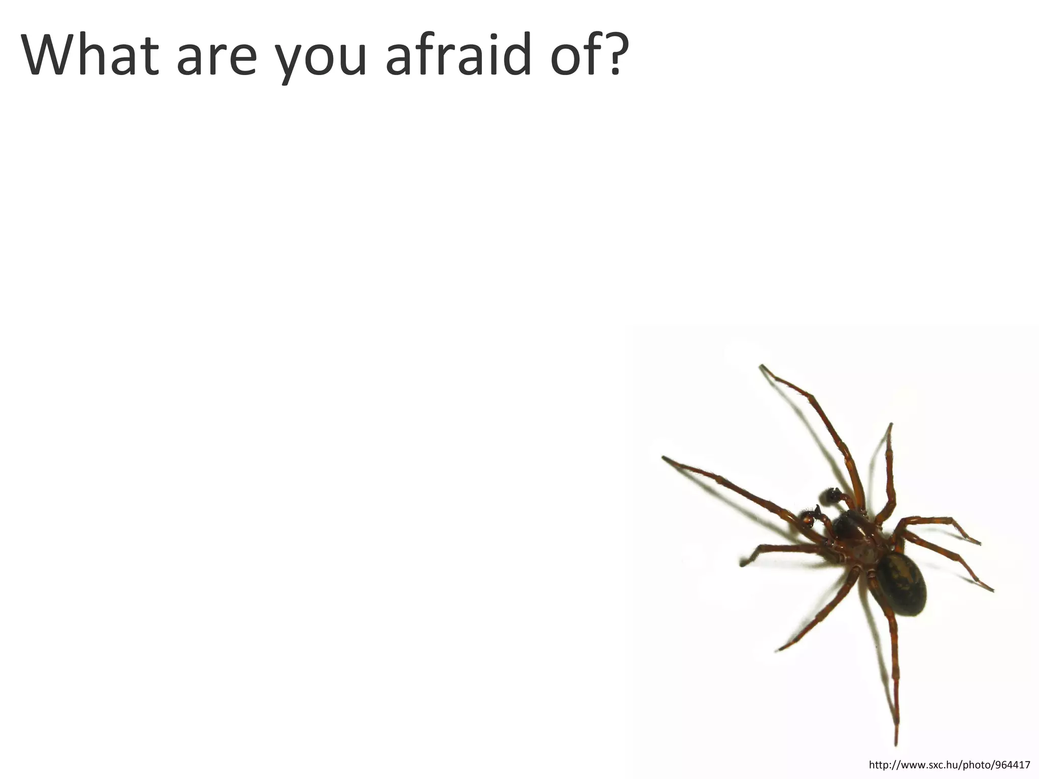 What are you afraid of? http://www.sxc.hu/photo/964417 