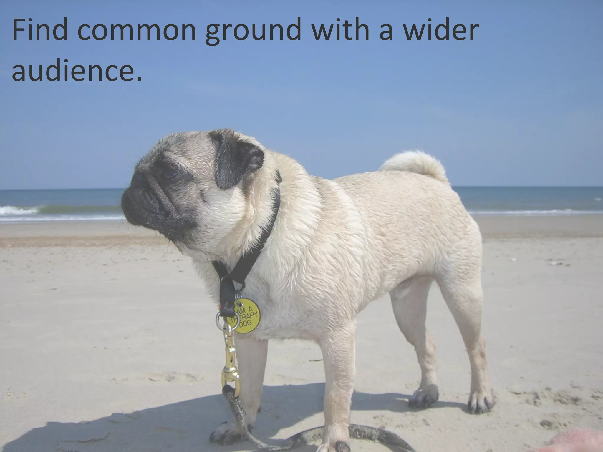 Find common ground with a wider audience. 