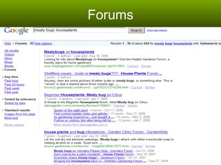 Forums 
