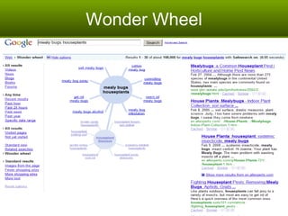 Wonder Wheel 