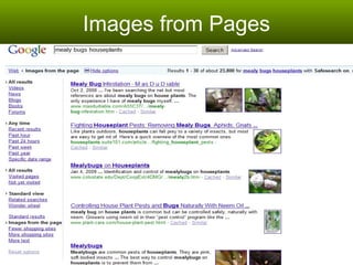 Images from Pages 